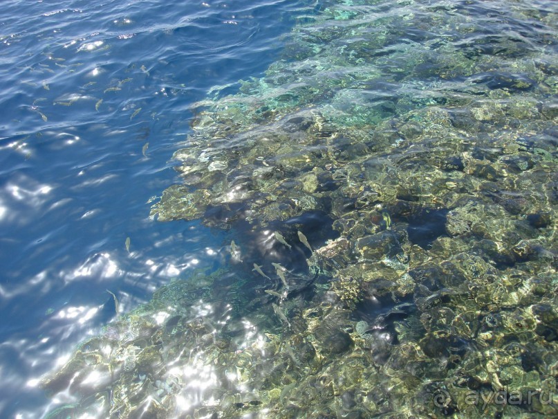 Немного о Шарм-эль-Шейхе