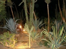 Альбом отзыва "Немного о Шарм-эль-Шейхе"