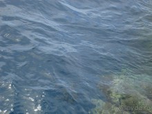 Альбом отзыва "Немного о Шарм-эль-Шейхе"