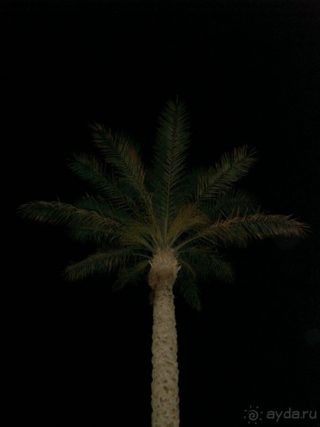 Немного о Шарм-эль-Шейхе