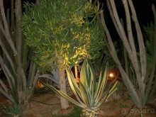 Немного о Шарм-эль-Шейхе