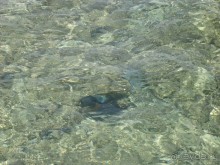 Немного о Шарм-эль-Шейхе