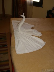 Немного о Шарм-эль-Шейхе