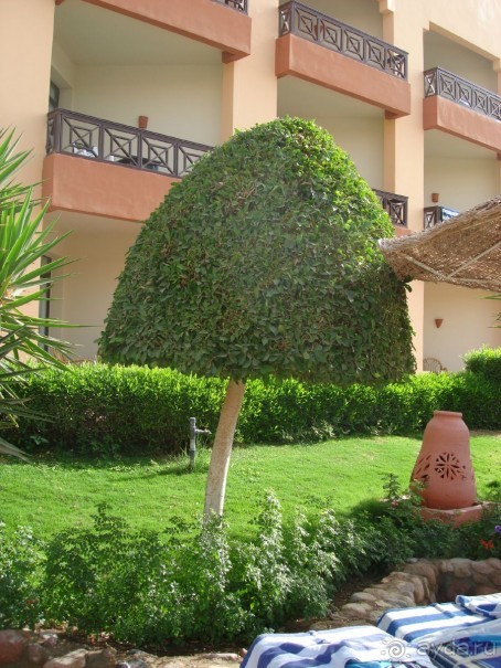 Немного о Шарм-эль-Шейхе