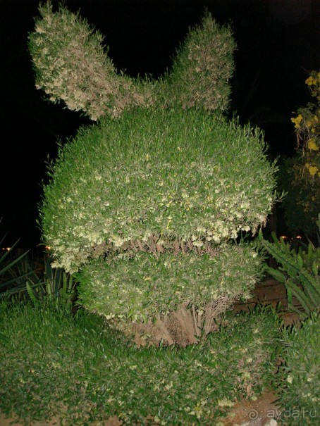 Альбом отзыва "Немного о Шарм-эль-Шейхе"