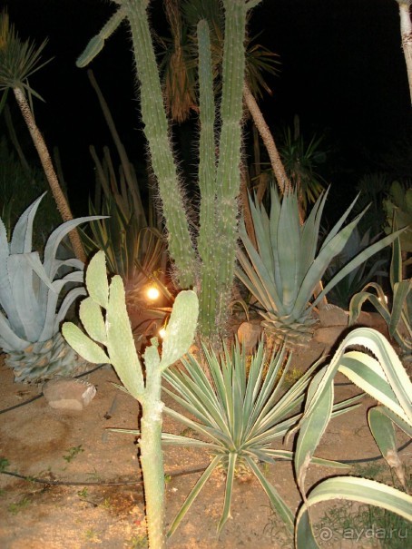 Немного о Шарм-эль-Шейхе