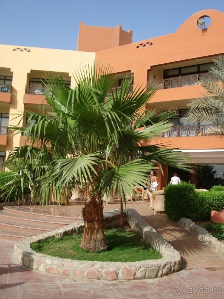 Альбом отзыва "Немного о Шарм-эль-Шейхе"