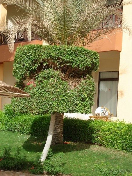 Альбом отзыва "Немного о Шарм-эль-Шейхе"