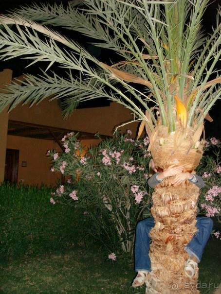 Альбом отзыва "Немного о Шарм-эль-Шейхе"