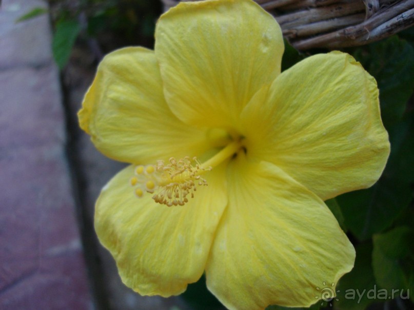 Немного о Шарм-эль-Шейхе