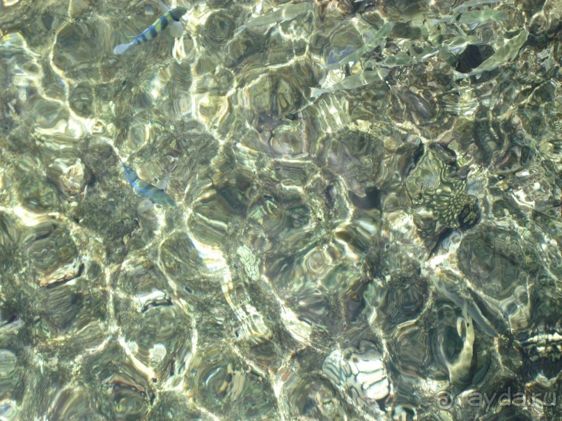 Альбом отзыва "Немного о Шарм-эль-Шейхе"