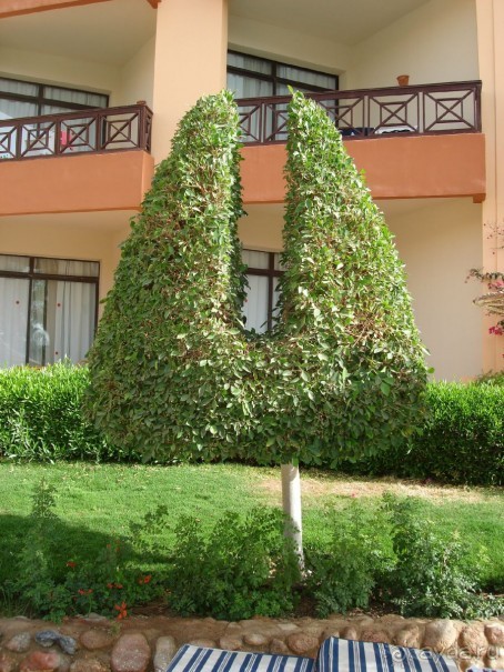 Альбом отзыва "Немного о Шарм-эль-Шейхе"