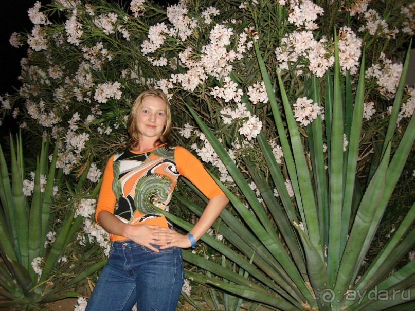 Альбом отзыва "Немного о Шарм-эль-Шейхе"