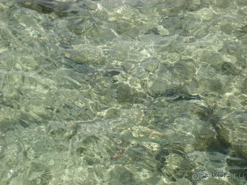 Альбом отзыва "Немного о Шарм-эль-Шейхе"