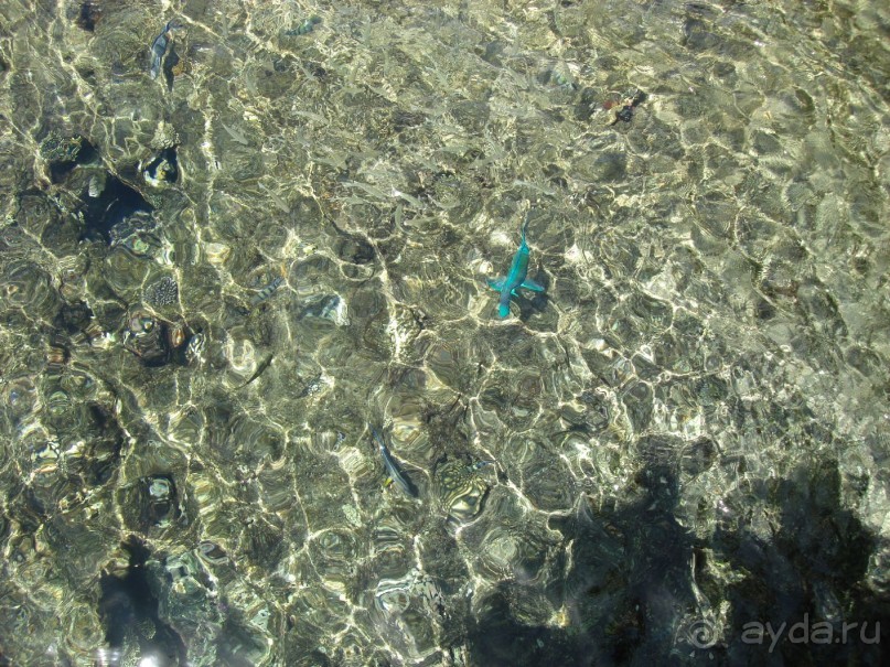 Альбом отзыва "Немного о Шарм-эль-Шейхе"