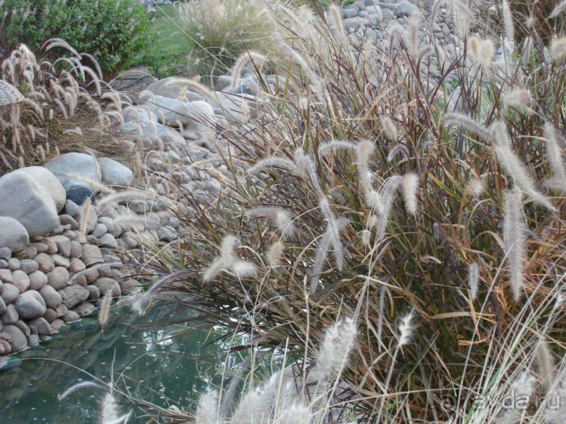 Немного о Шарм-эль-Шейхе