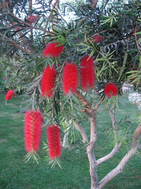 Немного о Шарм-эль-Шейхе