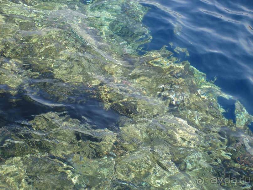 Альбом отзыва "Немного о Шарм-эль-Шейхе"