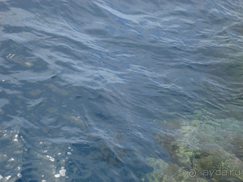 Немного о Шарм-эль-Шейхе