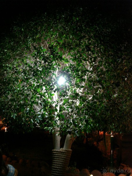 Альбом отзыва "Немного о Шарм-эль-Шейхе"