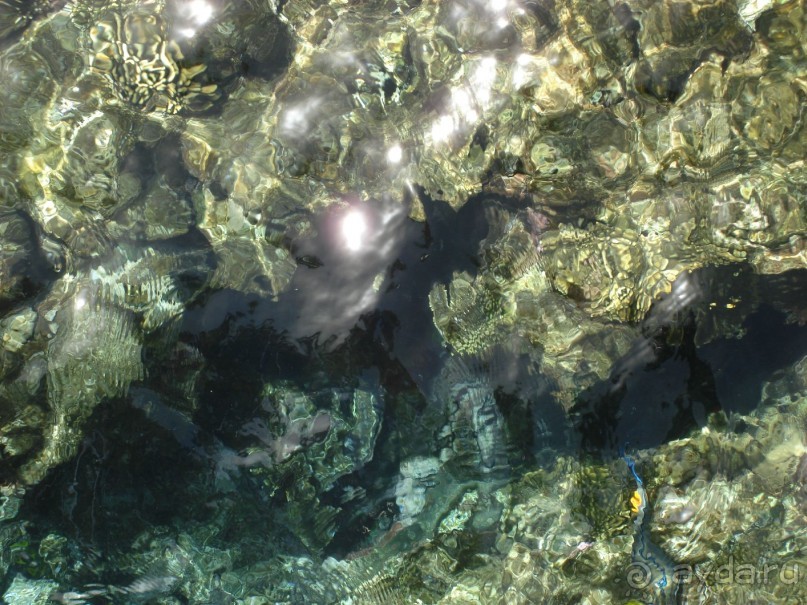 Альбом отзыва "Немного о Шарм-эль-Шейхе"