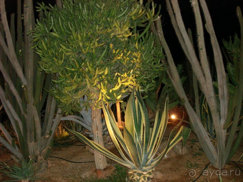 Альбом отзыва "Немного о Шарм-эль-Шейхе"