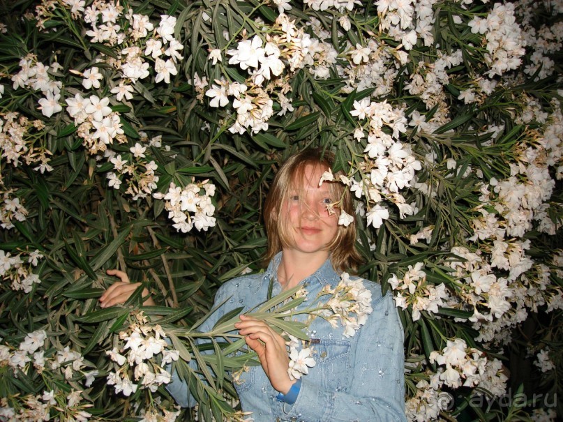 Альбом отзыва "Немного о Шарм-эль-Шейхе"