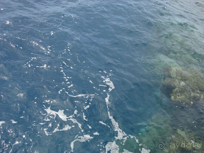 Альбом отзыва "Немного о Шарм-эль-Шейхе"