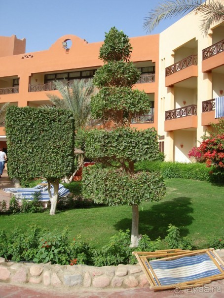 Альбом отзыва "Немного о Шарм-эль-Шейхе"