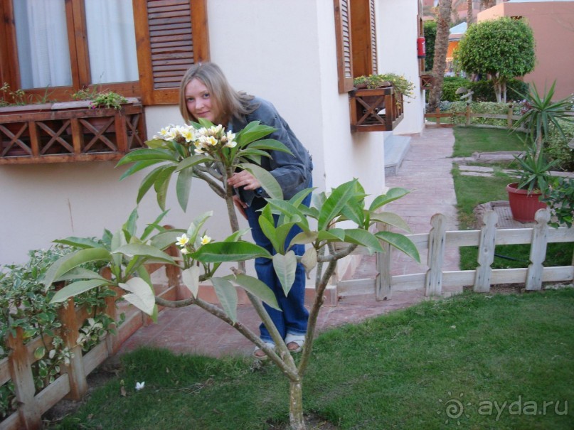 Немного о Шарм-эль-Шейхе