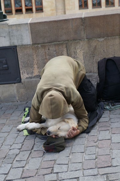 Карлов мост в Праге