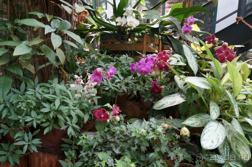 Побыть немного аптекарем