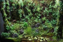 Побыть немного аптекарем