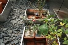 Побыть немного аптекарем