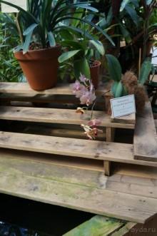 Побыть немного аптекарем