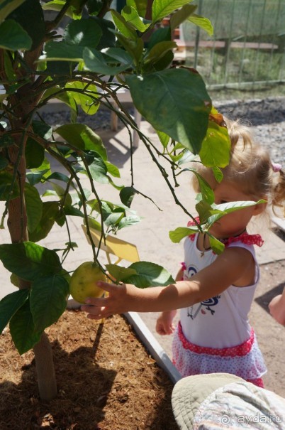 Побыть немного аптекарем