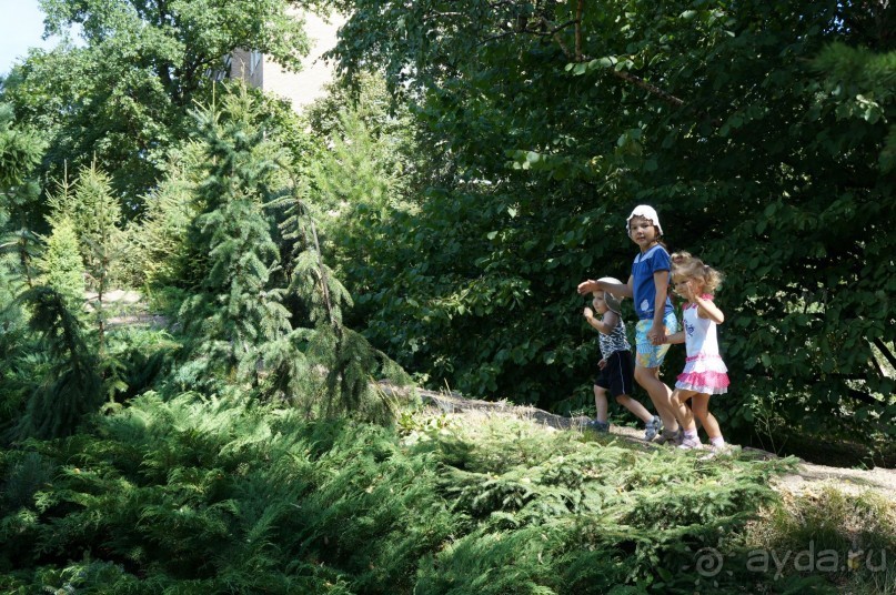 Побыть немного аптекарем