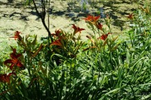 Побыть немного аптекарем