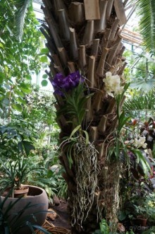 Побыть немного аптекарем