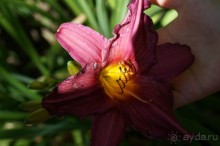 Побыть немного аптекарем