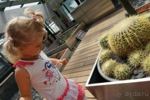 Побыть немного аптекарем