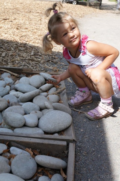 Побыть немного аптекарем