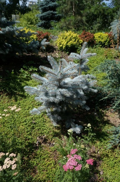 Побыть немного аптекарем