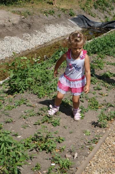 Побыть немного аптекарем