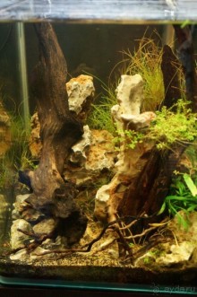 Побыть немного аптекарем