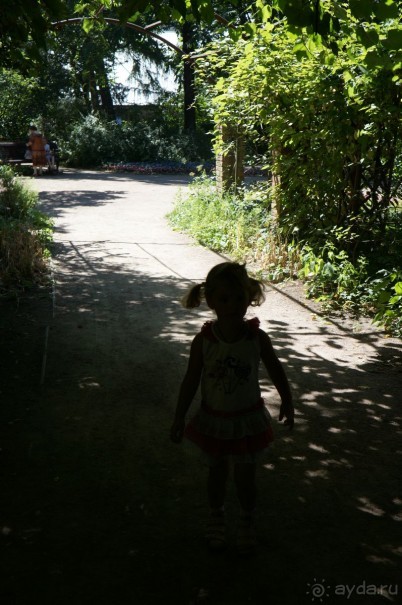 Побыть немного аптекарем