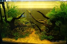 Побыть немного аптекарем