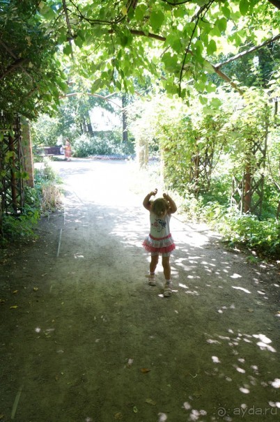 Побыть немного аптекарем