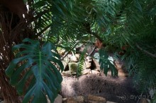 Побыть немного аптекарем