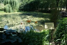 Побыть немного аптекарем